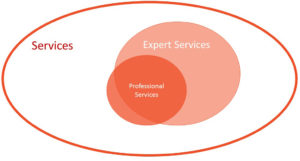 Expert Services Venn Diagram